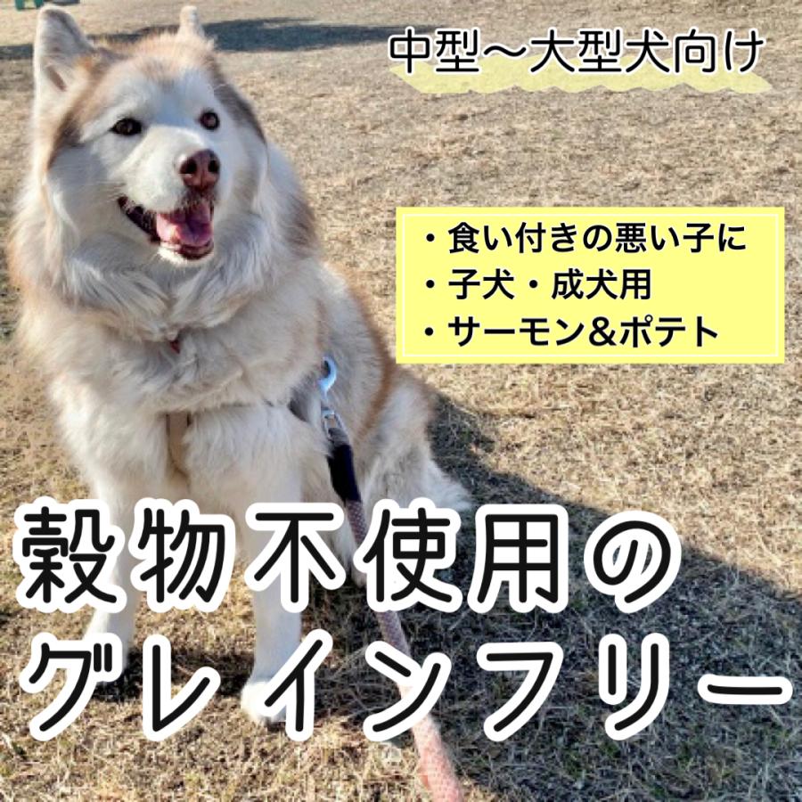 カークランドシグネチャー 青 ネイチャーズ ドメイン 成犬 子犬用 15.87kg 大容量 ドッグフード グレインフリー コストコ