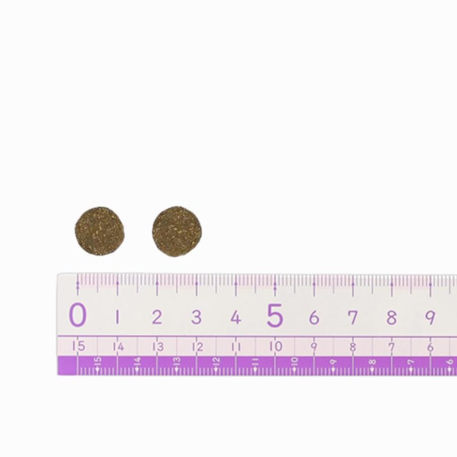 ドッグフード アカナクラシック レッドミートレシピ 11.4kg 正規輸入品 プレゼント 高級 大容量 コストコ COSTCO :s-330:ネクストストリート 通販 アカナ クラシック レッドミート