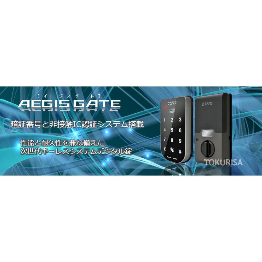 正規販売店 電子錠 2台セット イージスゲート 防犯 電気錠 AG-01 