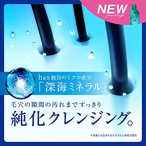 エイチアンドエス(h&s) シャンプー リフレッシュ 詰替用 315ml｜nextwind｜04