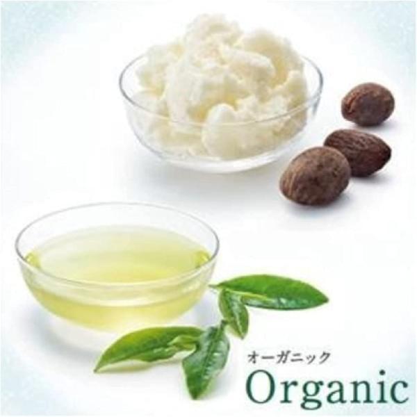 ティモテ ピュア クレンジングシャンプー ポンプ 500g : nextwind