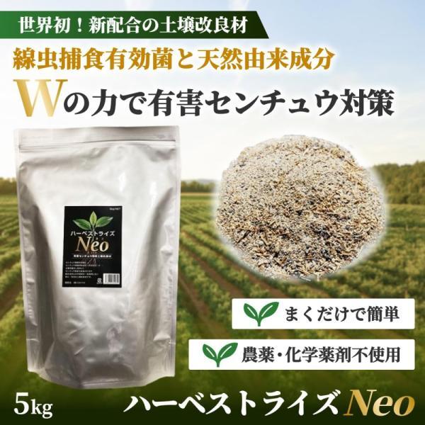 センチュウ駆除 土壌改良材 ハーベストライズＮｅｏ ５キロ 線虫 線虫捕食菌 農薬不使用 対策 ネコブセンチュウ  ネグサレセンチュウ |  | 01
