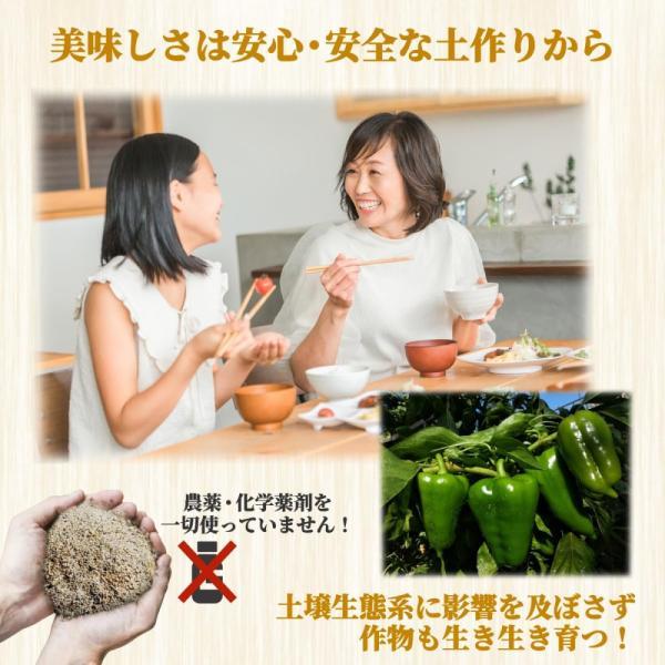 センチュウ駆除 土壌改良材 ハーベストライズＮｅｏ ５キロ 線虫 線虫捕食菌 農薬不使用 対策 ネコブセンチュウ  ネグサレセンチュウ |  | 04