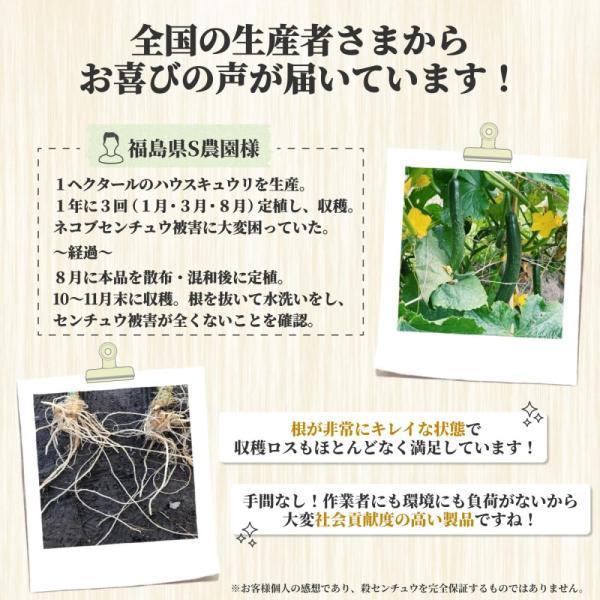 センチュウ駆除 土壌改良材 ハーベストライズＮｅｏ ５キロ 線虫 線虫捕食菌 農薬不使用 対策 ネコブセンチュウ  ネグサレセンチュウ |  | 05