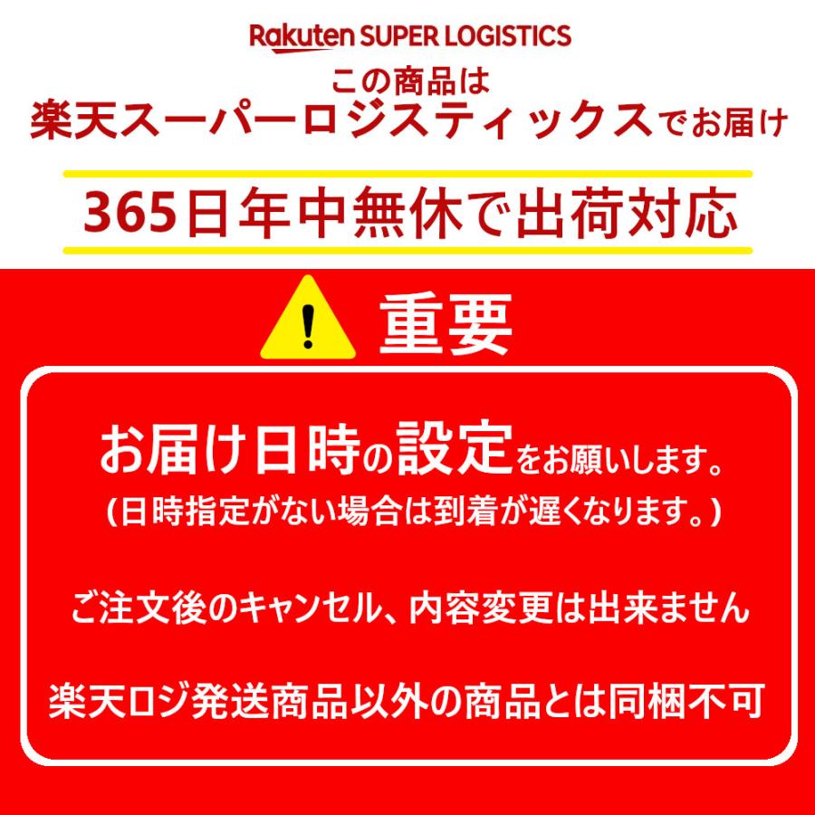 キャッシュフロー・フォー・キッズ 日本語版ーCASHFLOW for kids