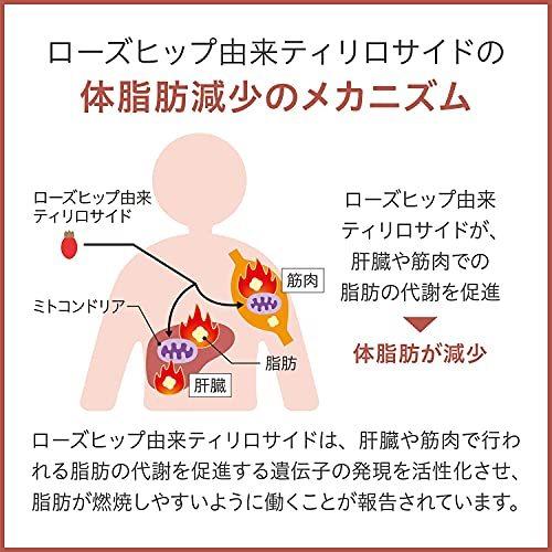 森下仁丹 ヘルスエイド ローズヒップ 30日分 (180粒) ローズヒップ由来ティリロサイド サプリメント 体脂肪を減らす [機能性表示食品]｜nexurise｜06