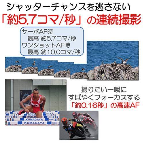 ［即日発送］ Canon コンパクトデジタルカメラ PowerShot SX70 HS 光学65倍ズーム/EVF内蔵/Wi-FI対応 PSSX70HS 【9718013338】(34850円)