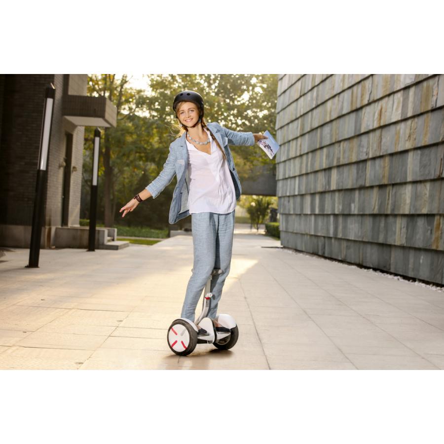 Segway-Ninebot S-PRO 電動 バランススクーター セグウェイ Segway-Ninebot S-PRO 電動 バランススクーター セグウェイ