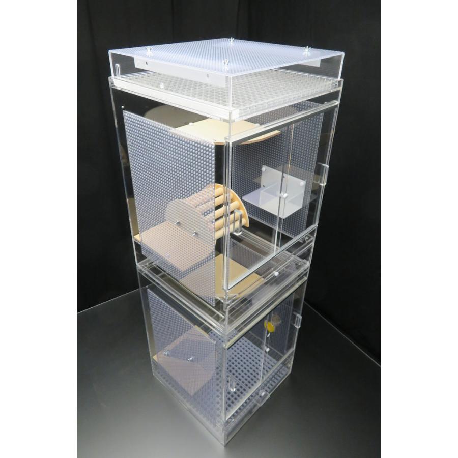 アクリル　ケージ　フクロモモンガ　フクモモ　ねくすとショップ アクリル ケージ フクロモモンガ フクモモ ねくすとショップ