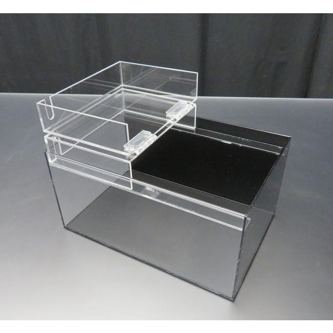 輝く高品質な 小型展示水槽 幅30ｃｍ 奥行ｃｍ 高さ17ｃｍ 底 黒マット お1人様1点限り Esiba Tg