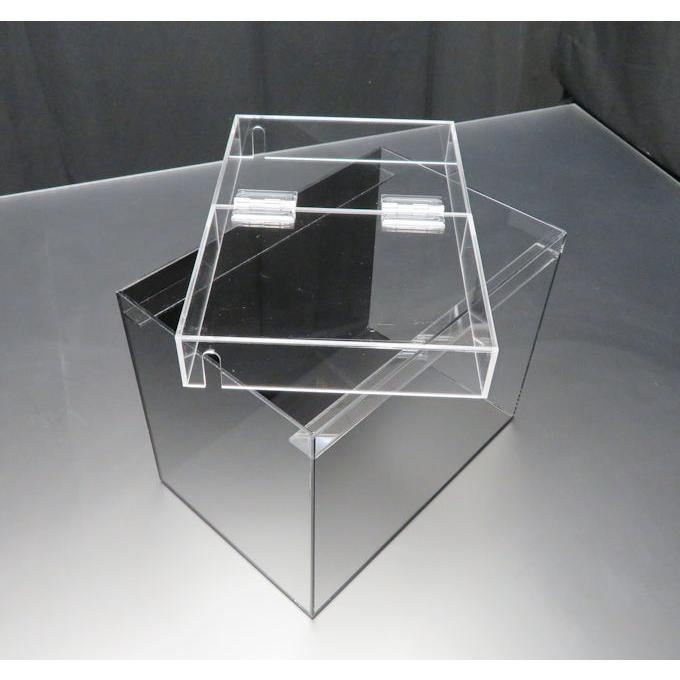 小型展示水槽 幅30ｃｍ 奥行ｃｍ 高さ25ｃｍ 底 バック黒マット Agcs 3025b アクリルケージ屋さん 通販 Yahoo ショッピング