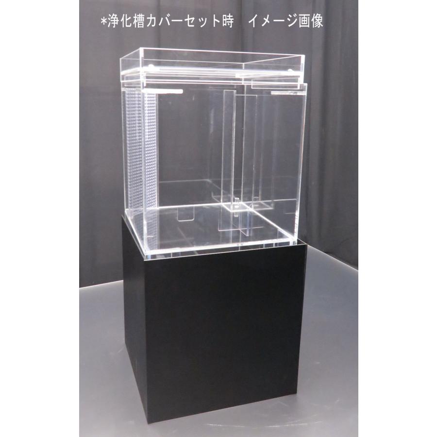 万能型キューブオーバーフロー水槽50L 35cm角 : アクリルケージ 万能型キューブオーバーフロー水槽50L 35cm角 : アクリルケージ
