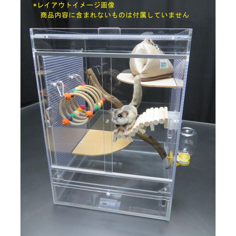 フクロモモンガ 専用 飼育 ケージ 50 : アクリルケージ屋さん フクロモモンガ 専用 飼育 ケージ 50 : アクリルケージ屋さん