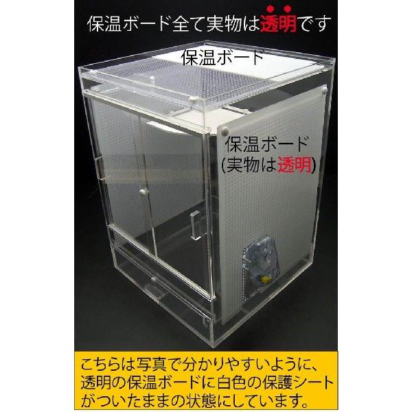 フクロモモンガ 専用 飼育 ケージ 50 : アクリルケージ屋さん フクロモモンガ 専用 飼育 ケージ 50 : アクリルケージ屋さん