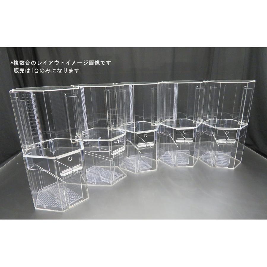 六角形のオーバーフロー水槽 一辺14cm 約L フタ有 : アクリル 六角形のオーバーフロー水槽 一辺14cm 約L フタ有 : アクリル