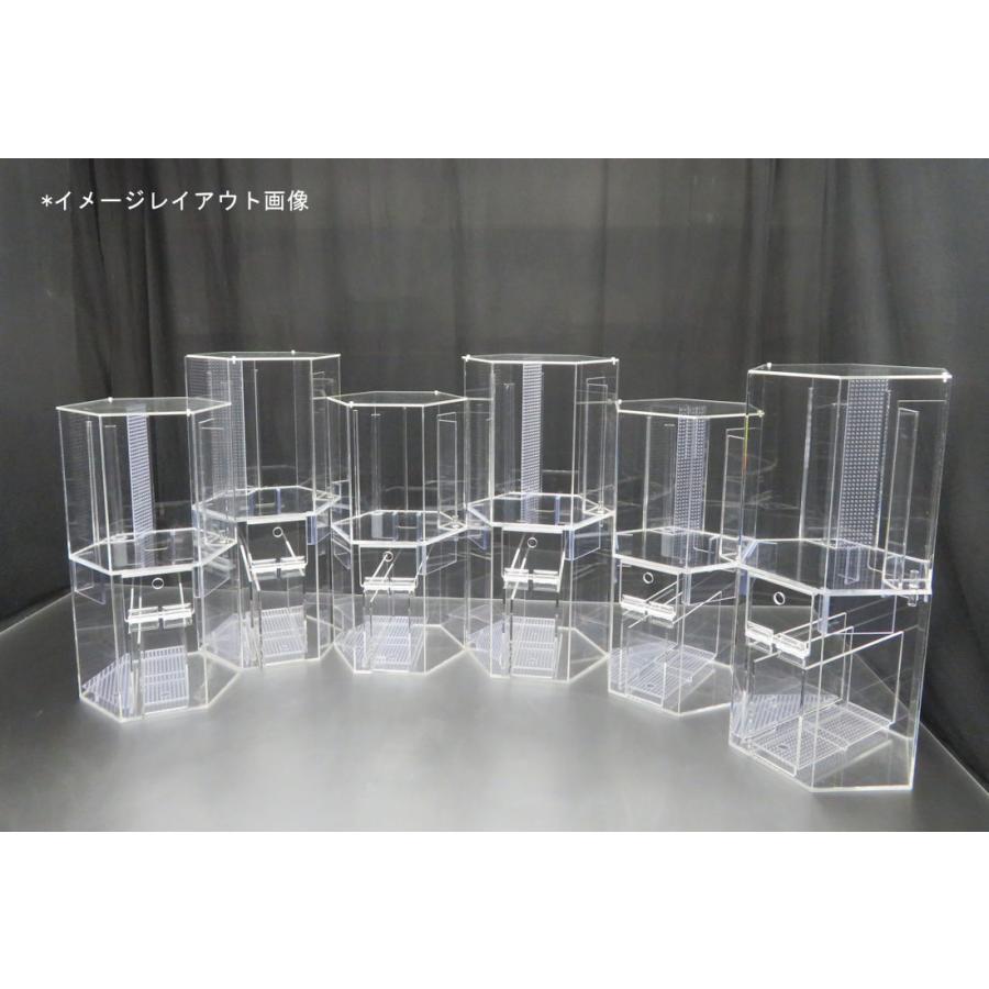 六角形のオーバーフロー水槽 一辺15cm 約15L フタ有|nexxtshop|02