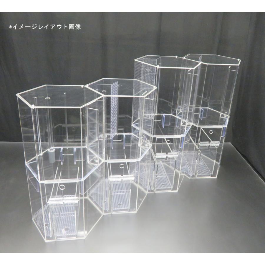 六角形のオーバーフロー水槽 一辺15cm 約15L フタ有|nexxtshop|05