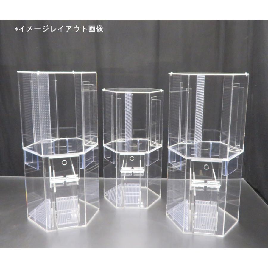 六角形のオーバーフロー水槽 一辺15cm 約15L フタ有|nexxtshop|06