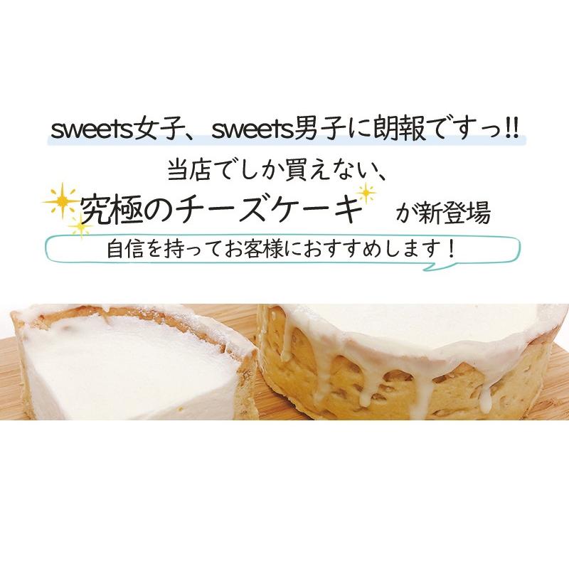 ミルクチーズタルト 【 4号 3〜4人用 】 チーズケーキ スイーツ ギフト　お取り寄せ お歳暮 |  | 02
