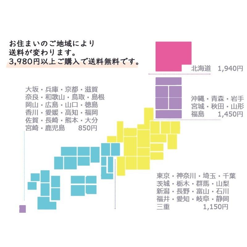 ガトーショコラ　ガトーフロマージュ　4号ケーキ(3〜4人用)　お取り寄せ　プレゼント　手土産｜nfcs｜07