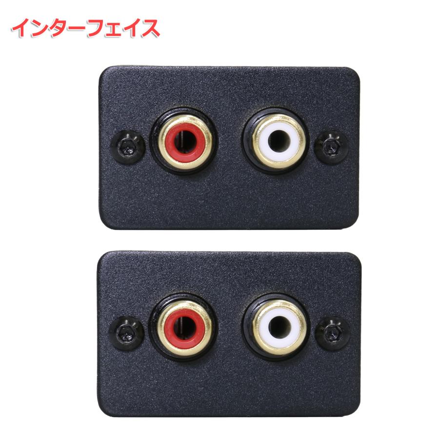 フォノ「RE」ケーブルアダプター FX AUDIO FX-AUDIO- RE:EQ-00J 逆RIAAイコライザー RIAAコンバーター
