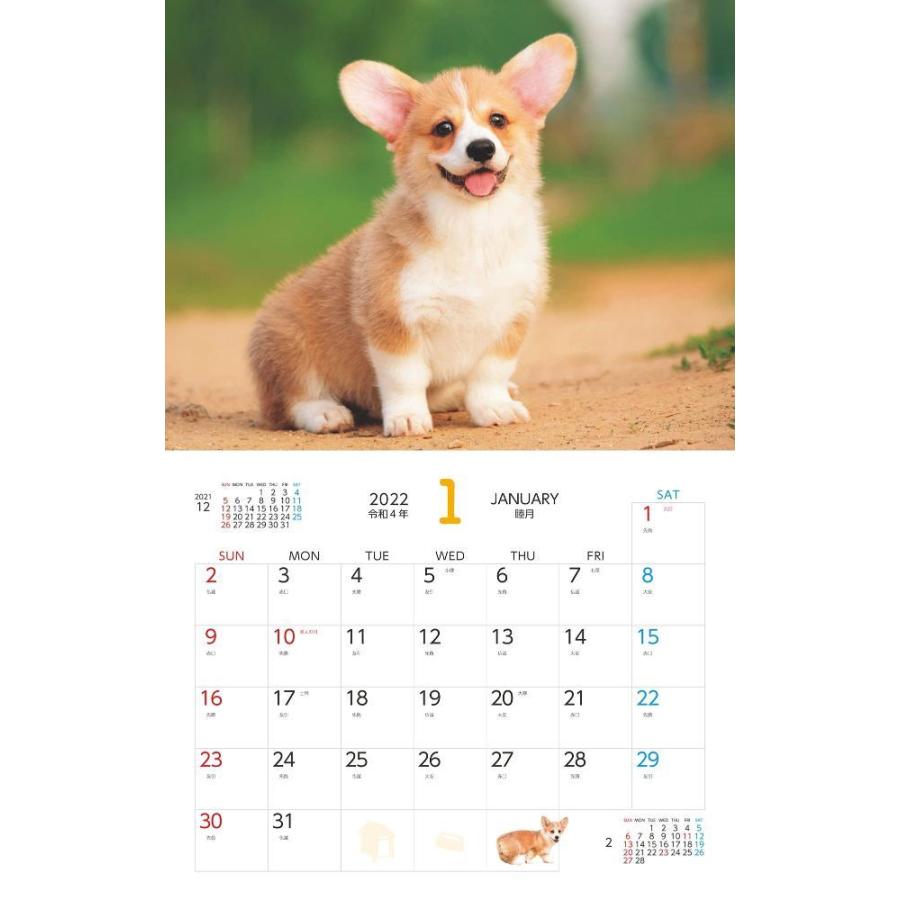 Co Jp限定 癒やしのウェルシュ コーギー 特典 スマホ壁紙に使える可愛いコーギー画像 データ配信 インプレスカレンダー22 Gys Nft Shop ヤフー店 通販 Yahoo ショッピング