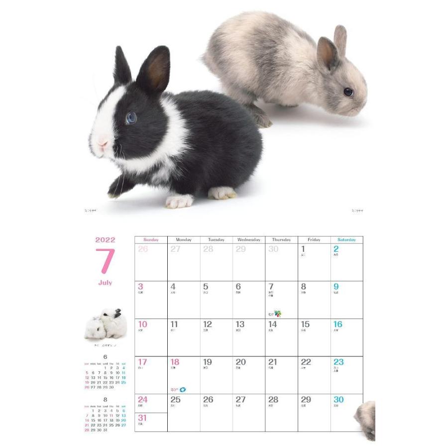Co Jp 限定 カレンダー22 ウサギぴょんぴょん 月めくり 壁掛け 特典データ スマホ壁紙画像 ヤマケイカレンダー22 Gys Nft Shop ヤフー店 通販 Yahoo ショッピング