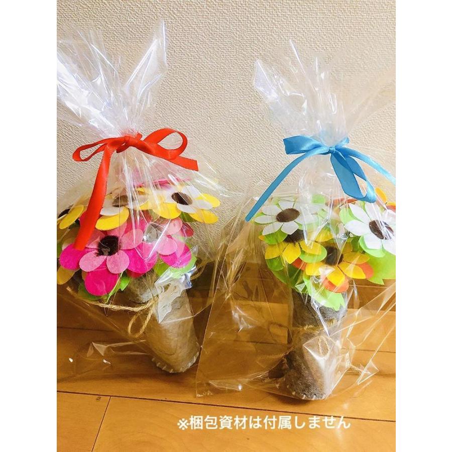 Due Gattini ドゥエガッティーニ 手作り花束キット 5種類セット 3種類セット メッセージカード フェルト 縫いさし 簡単 可愛い Di Gys Nft Shop ヤフー店 通販 Yahoo ショッピング