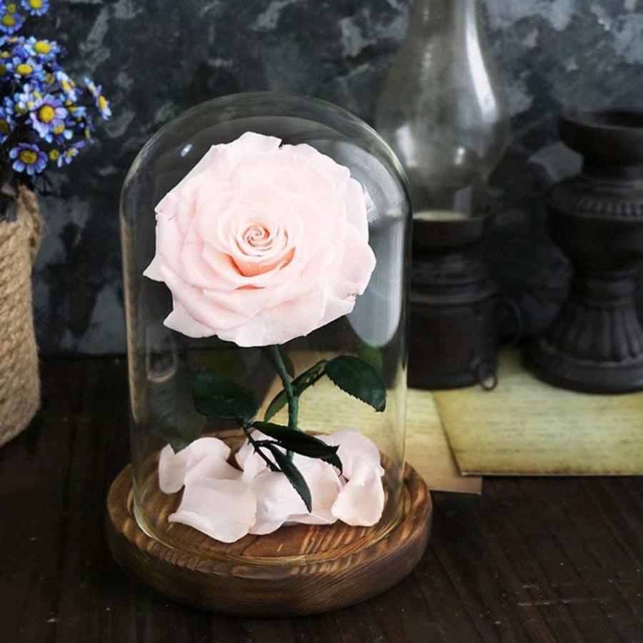 プリザーブドフラワー １輪のバラ ドライフラワー 枯れない花 ギフト ガラスドーム 枯れない花 バラ Nft ブライト ケース入り キット Nft Shop Ledライト付き ヤフー店 ラッピング済み ギ Gys クーポン正規品