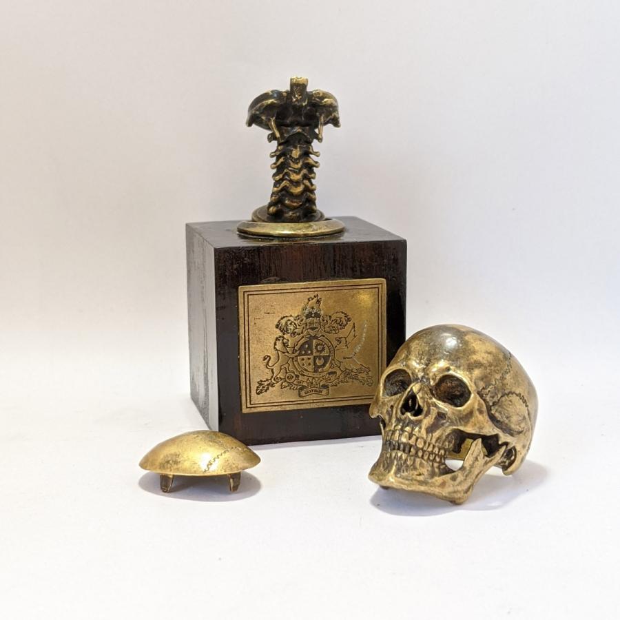 指輪　スカルリング　GRYPHON Anatomical Skull Ring[A]【真鍮】グリフォン アナトミカル スカル リング｜nfw