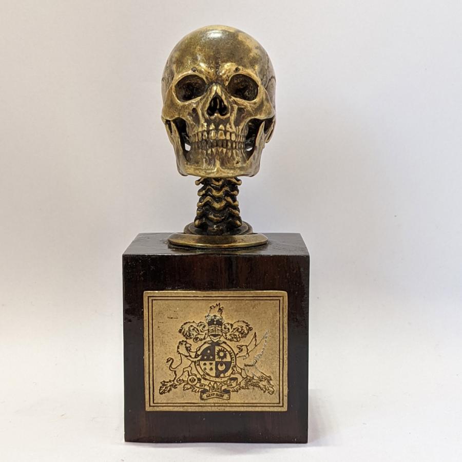 指輪　スカルリング　GRYPHON Anatomical Skull Ring[A]【真鍮】グリフォン アナトミカル スカル リング｜nfw｜02