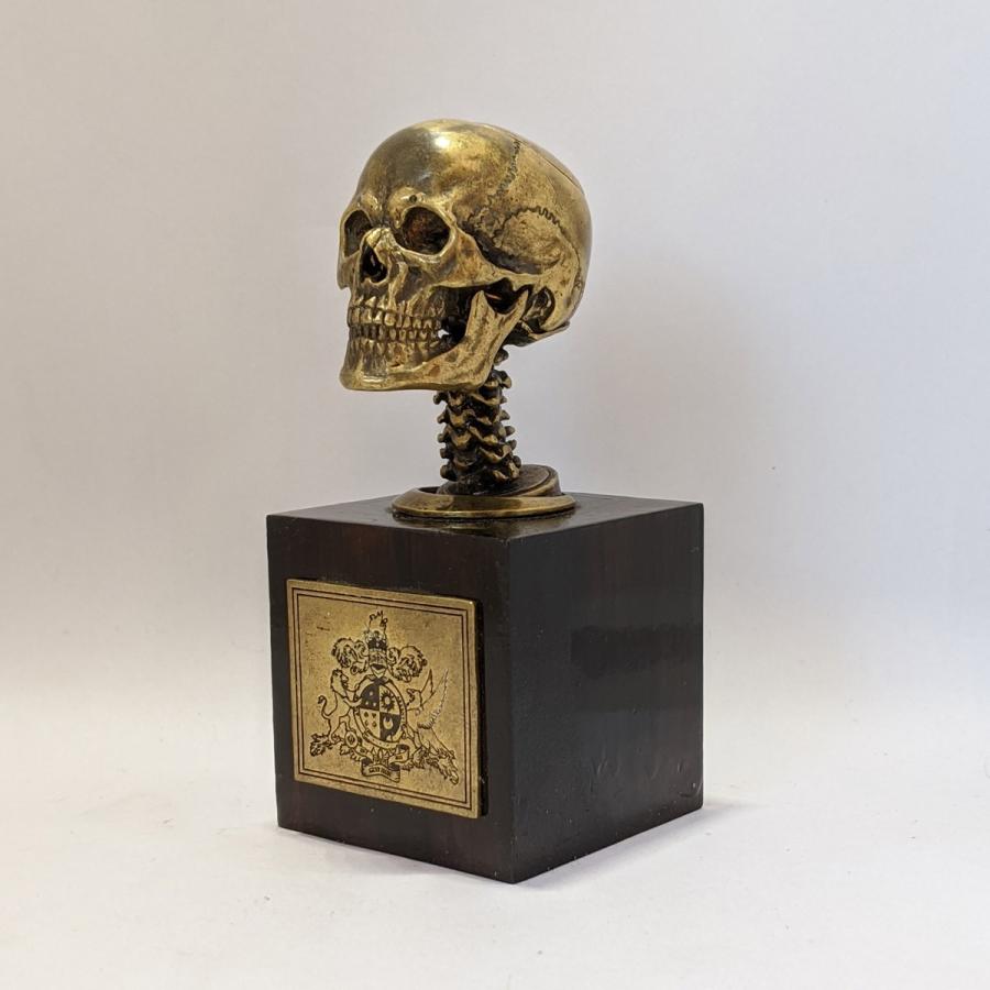 指輪　スカルリング　GRYPHON Anatomical Skull Ring[A]【真鍮】グリフォン アナトミカル スカル リング｜nfw｜03