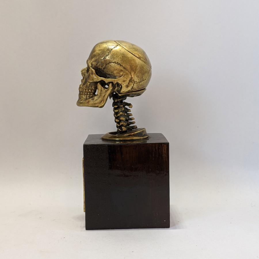 指輪　スカルリング　GRYPHON Anatomical Skull Ring[A]【真鍮】グリフォン アナトミカル スカル リング｜nfw｜04