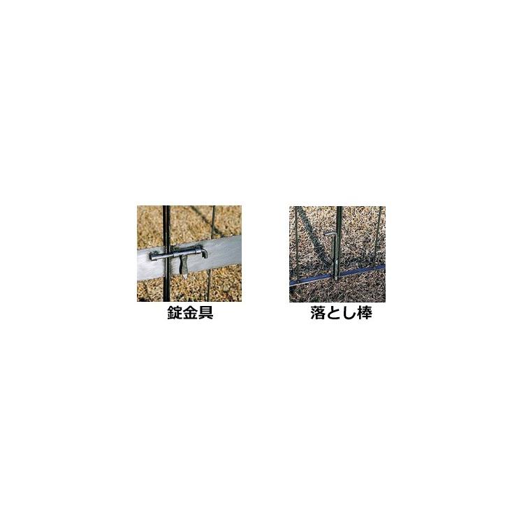 重厚なアイアン製バラ等のつる性植物に最適な門扉付ガーデンアーチ 門扉付アーチ タイプAの画像