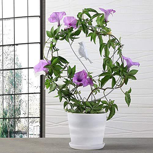 人気の 園芸用品 Flyaway フラワー支柱 園芸支柱 つる性植物 植物支柱 観葉支柱 フラワースタンド 支柱棚 花支え ガーデニング用支柱