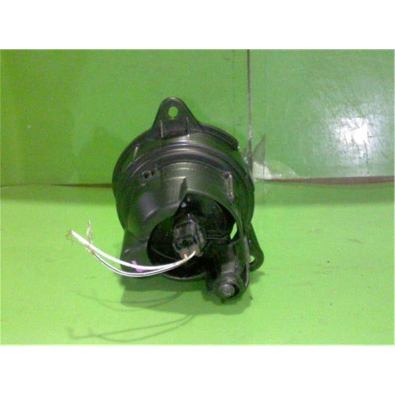 ミラバト ゴンフリークス プロモ 一枚300円 Amazon.co.jp: ゴン