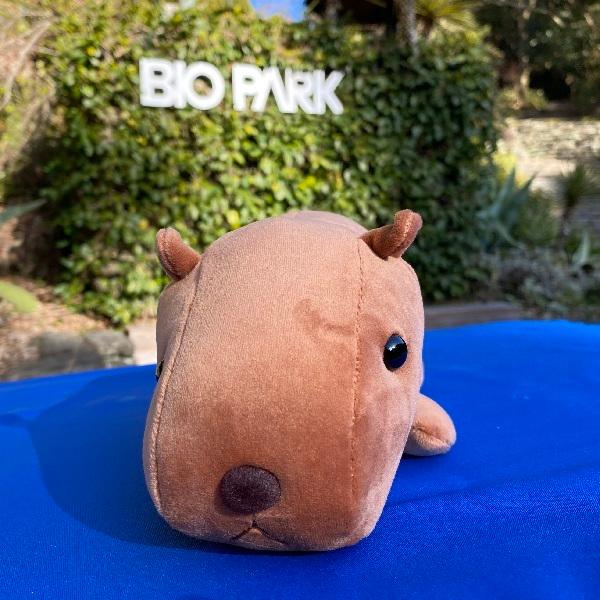 もっちりカピバラS : 長崎バイオパーク アミーゴス - 通販 - Yahoo