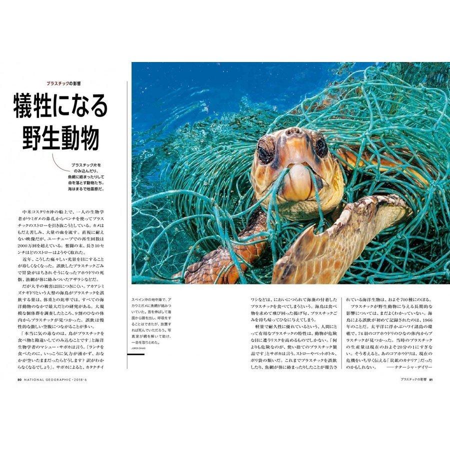 ナショナル ジオグラフィック日本版 定期購読【３年36冊】（NATIONAL GEOGRAPHIC，ナショジオ）｜ngshop｜03