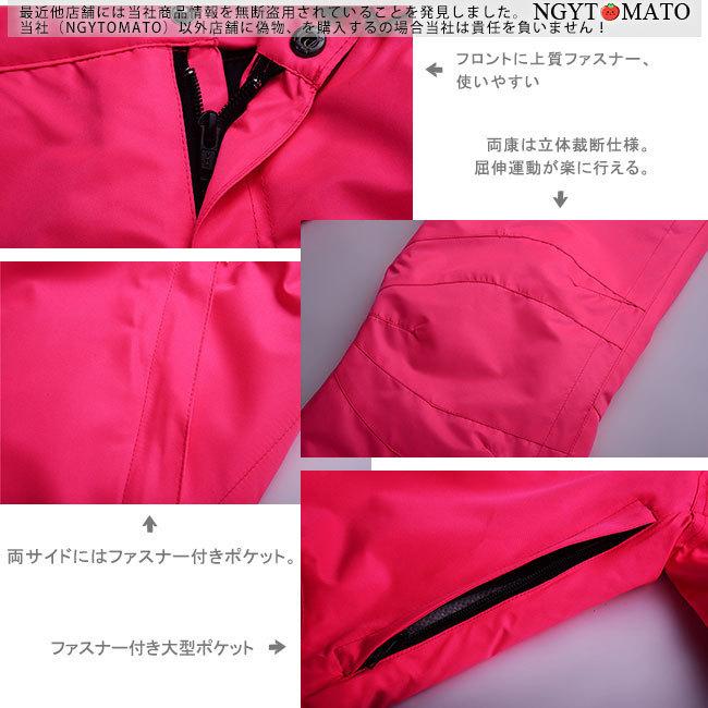 スノーボードウェア メンズ 上下セット スキーウェア レディース