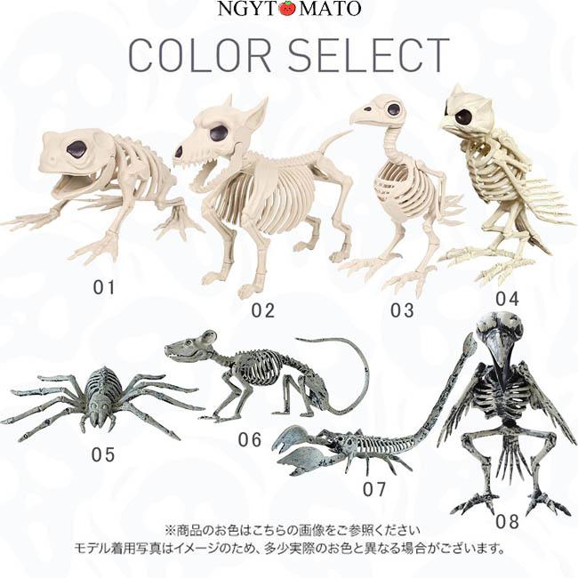 1【ハロウィン】2【カエル骨格】3【鹿の骨格とぬいぐるみ】3セット原画 ハロウィン 飾り 装飾 デコレーション ガイコツ 置物 骨 動物 鳥