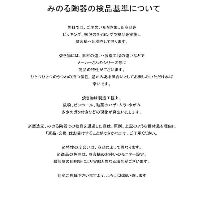 みのる陶器　Albee‐アルビー  軽量15cmプレート   美濃焼 　撥水　2枚セット |  | 12