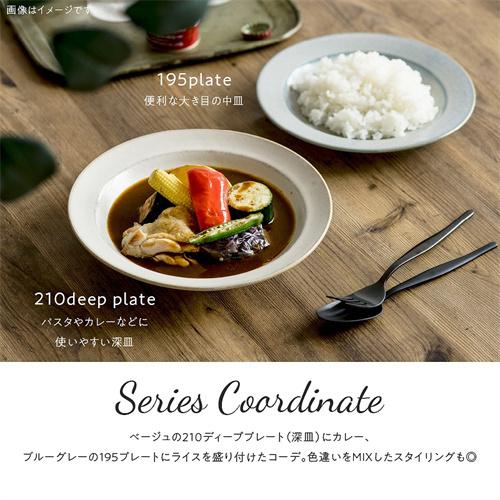 みのる陶器　美濃焼 食器]【curio-クリオ- 】カレーパスタ [日本製]オリジナル商品　2個セット　定形外郵便/ゆうパック発送 |  | 04