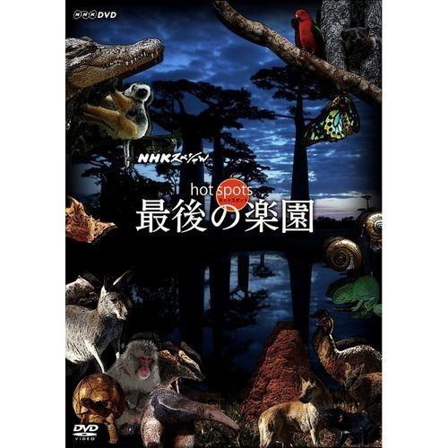 NHKエンタープライズ エントリーでP10倍！ NHKスペシャル ホット