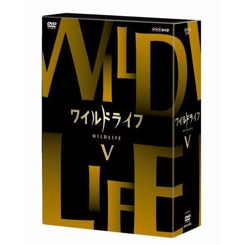 エントリーでP10倍！25年2月末まで ワイルドライフ DVD-BOX5 全3枚 