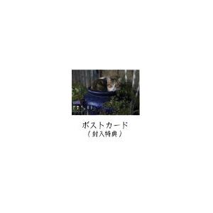 NHKエンタープライズ エントリーでP10倍！ 岩合光昭の世界ネコ歩き