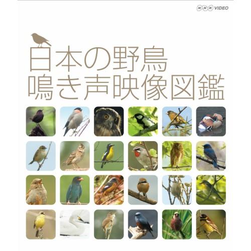 日本の野鳥 鳴き声映像図鑑　ブルーレイ｜nhkgoods