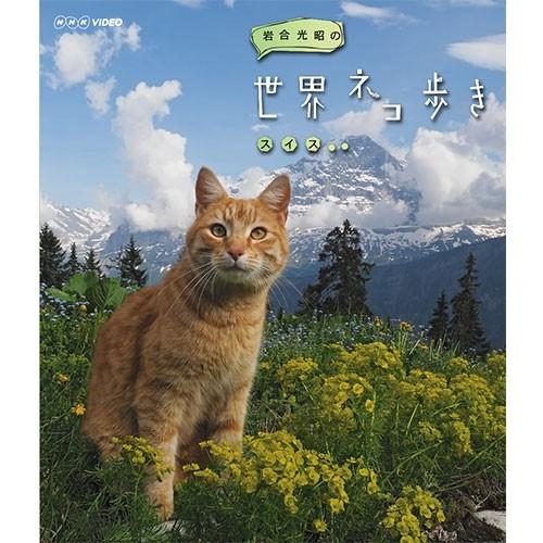 NHKエンタープライズ エントリーでP10倍！ 岩合光昭の世界ネコ歩き