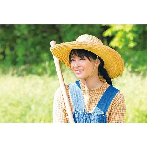 NHKエンタープライズ 連続テレビ小説 なつぞら 完全版 ブルーレイBOX2