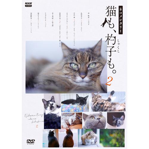 ネコメンタリー猫も、杓子も。2 DVD 全2枚【NHK DVD公式】 : 25209aa 