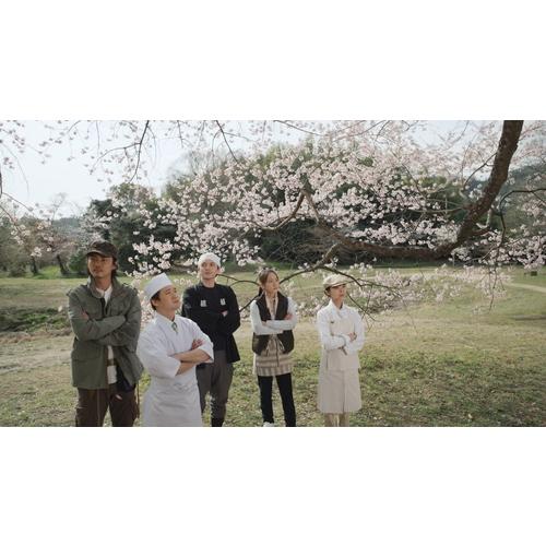 京都人の密かな愉しみ Blue 修業中 門出の桜 DVD｜nhkgoods｜02
